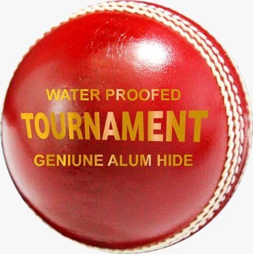 ZAP Tournament Cricket Leather Ball