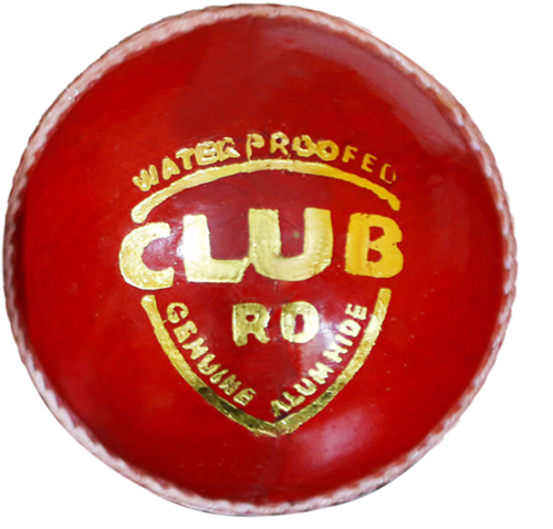 Zap Club Rd Cricket Leather Ball