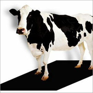 Cow Mat