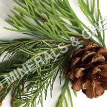 Pine Fresh Fragrance