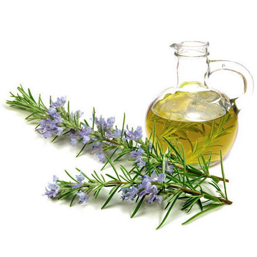 Rejuvenating Rosemary Water Soluble Fragrance