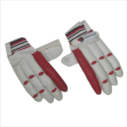 Cricket Gloves