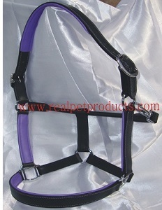 PP Headstall