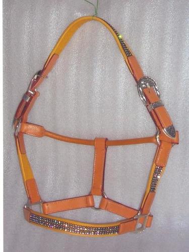 Colored Horse Halter