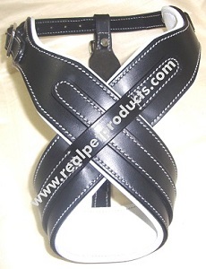 Leather Dog Muzzles