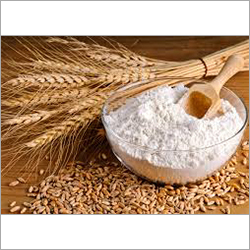 fresh Wheat Flour