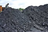 Indonesia Coal