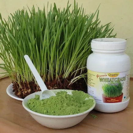 Wheatgrass Powder Grade: Food