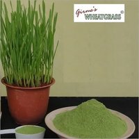 Wheatgrass Powder Bulk Grade: Food Supplement