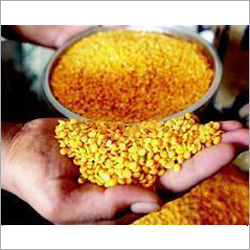 Cereal Product Testing Service
