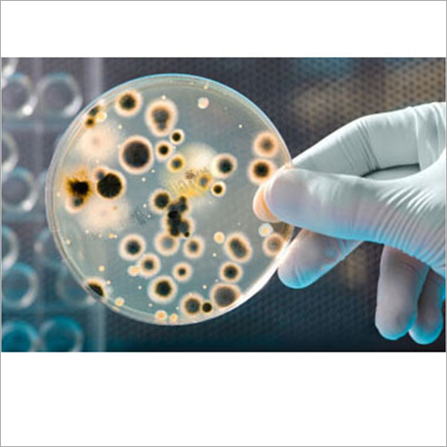 Microbiological Analysis Service