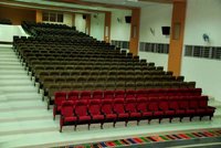 Fabric Theater Seating Chairs