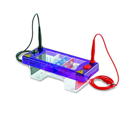 Horizontal Electrophoresis System