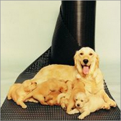 HVD (Heron Vinyl Duckboard)