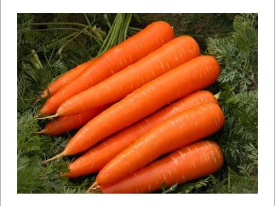 Fresh Orange Carrot