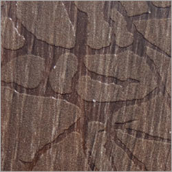 Spider Gloss Designer Wood Laminate