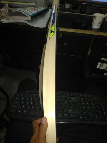 English Willow Terminator Cricket Bat