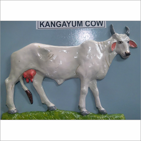 Kangayum Cow Model