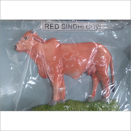 Red Sindhi Cow Model