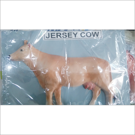 Jersey Cow Model