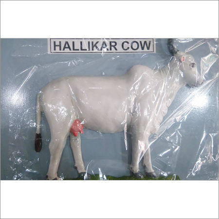 White Hallikar Cow Model