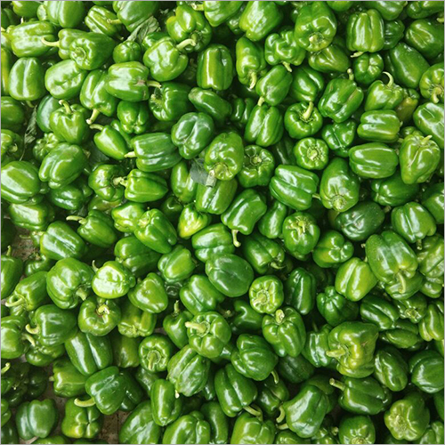 Green Capsicum