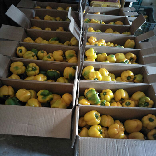 Yellow Capsicum