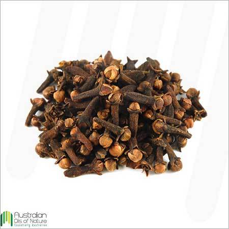 Clove Essential Oil