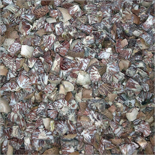 Betel Nut