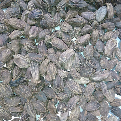 Big Cardamom