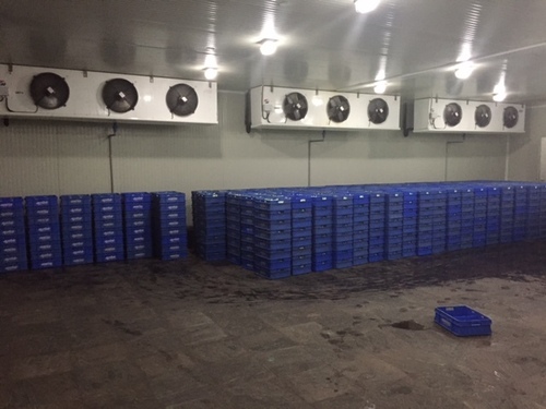 Chiller room