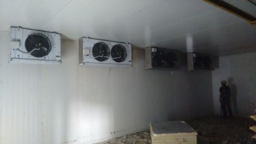 BANANA RIPENING CHAMBER - Variable Capacity Variable Dimensions White | Ethylene Control Humidity Control Temperature Control Reduced Waste Faster Ripening