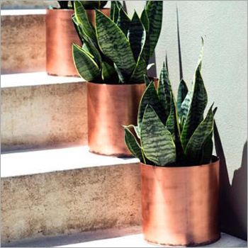 Copper Plant Pots