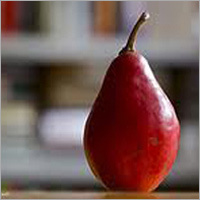 Red D Anjous
