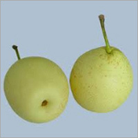 Ya Pear