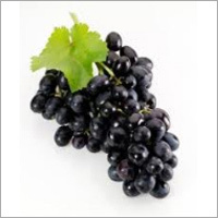 Black Seedless Grapes