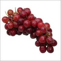 Red Globe Grapes