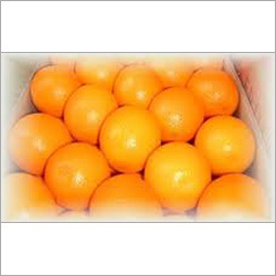 Fresh Oranges
