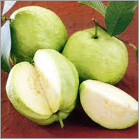 Fresh Guava
