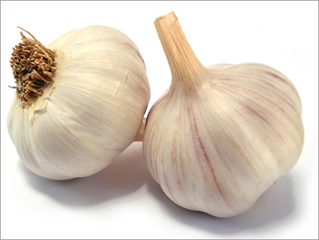 Fresh Garlic