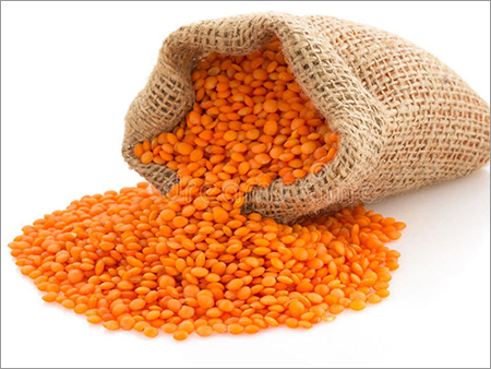 Red Lentil