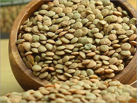 Green Lentils