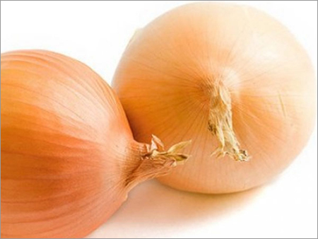 Fresh Onion