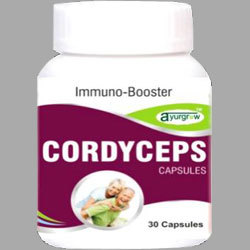 Cordyceps Capsule
