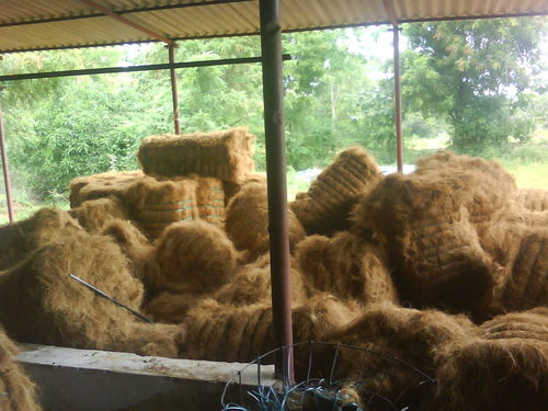 High Quality Coconut Fiber High Quality Coconut Fiber