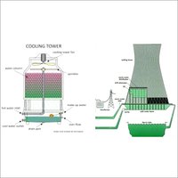 Green Algae Removing Solvent