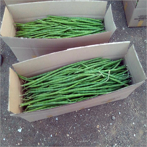 Moringa