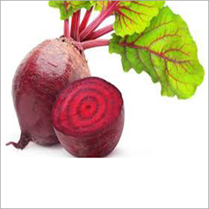 Fresh Beetroot