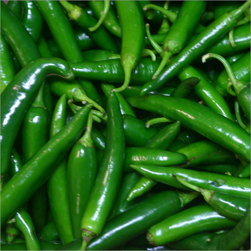 Chilli