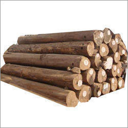 Teak Wood Log